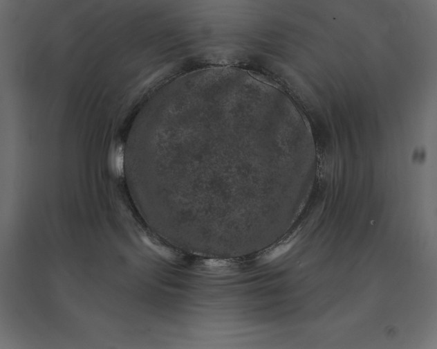 X0000094440095200711211505