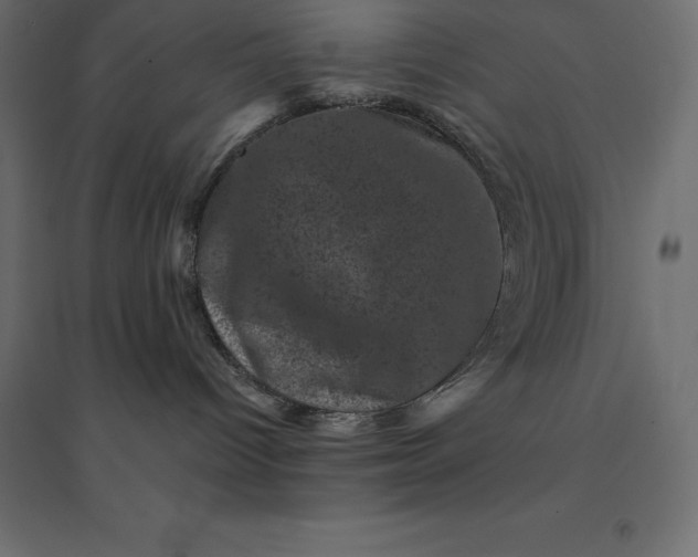 X0000094440096200711211505