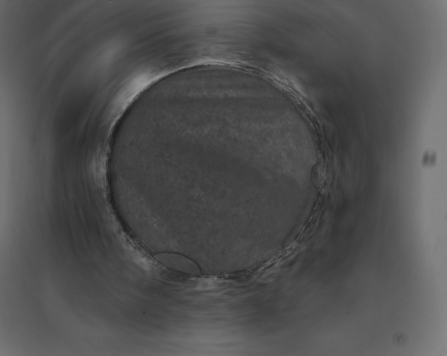 X0000094440098200711211505