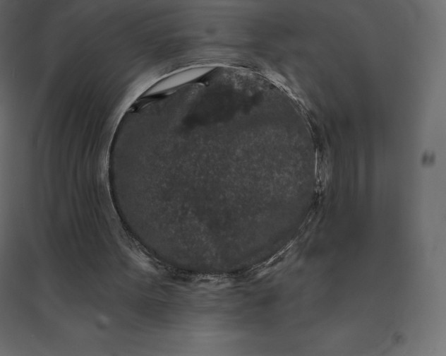 X0000094440099200711211505