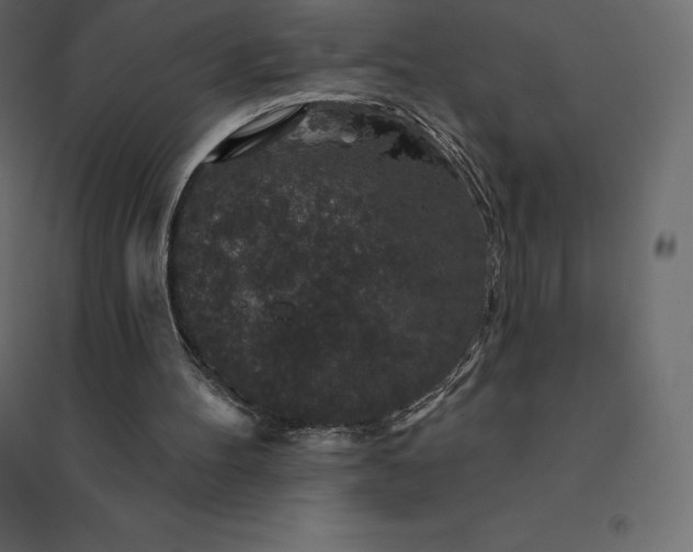 X0000094440100200711211505