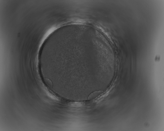 X0000094440102200711211505