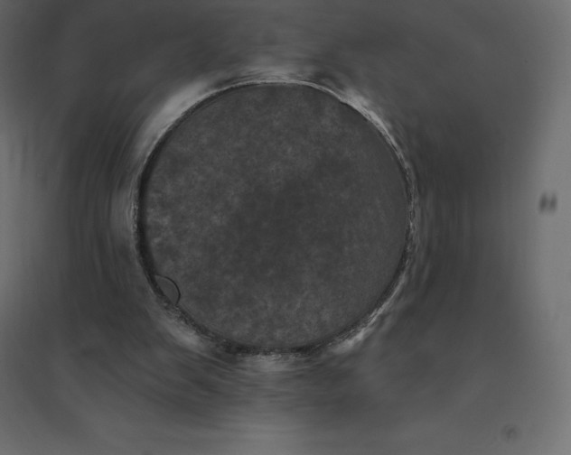 X0000094440103200711211505