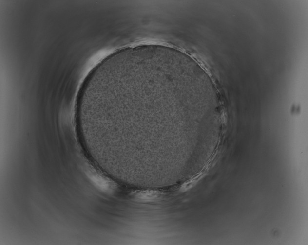 X0000094440104200711211505