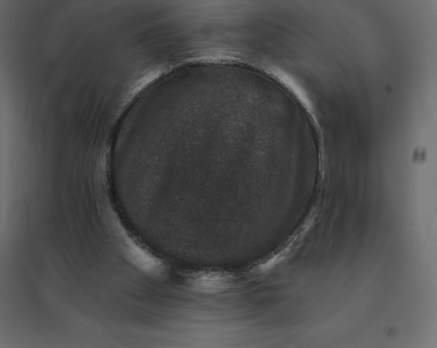 X0000094440105200711211505