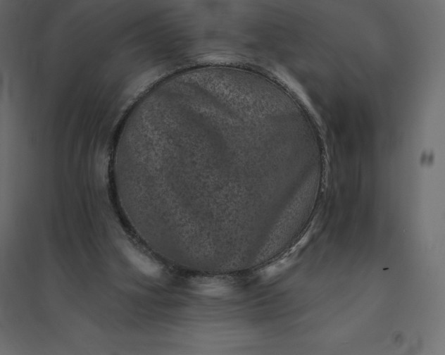 X0000094440106200711211505