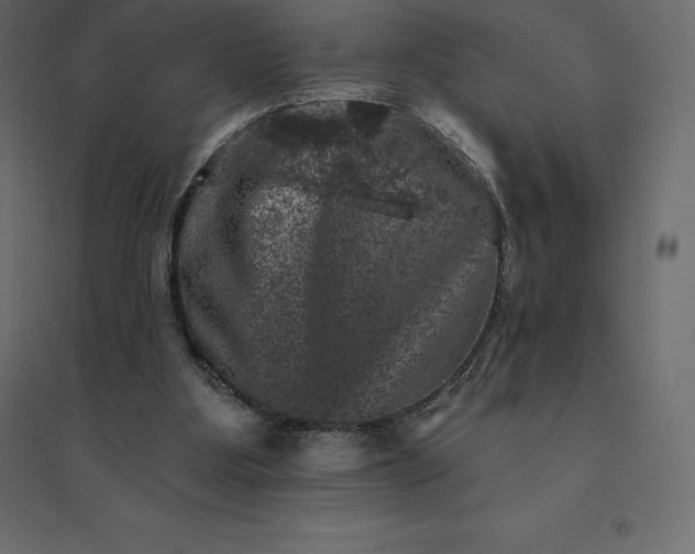 X0000094440107200711211505