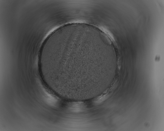 X0000094440108200711211505