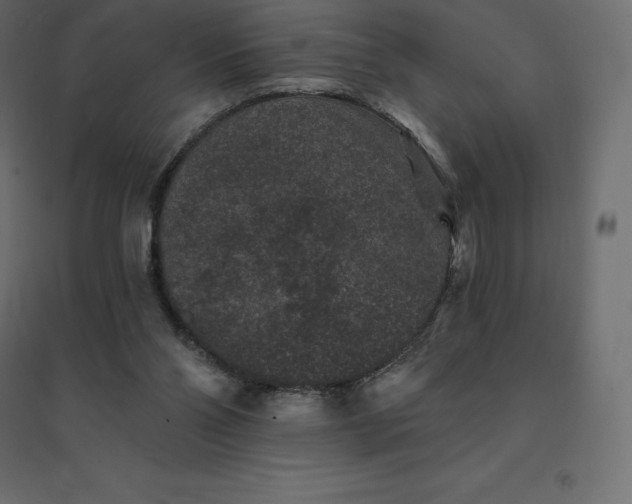 X0000094440110200711211505