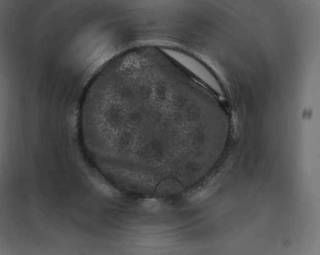 X0000094440111200711211505