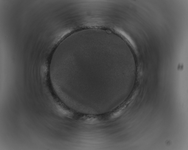 X0000094440113200711211505