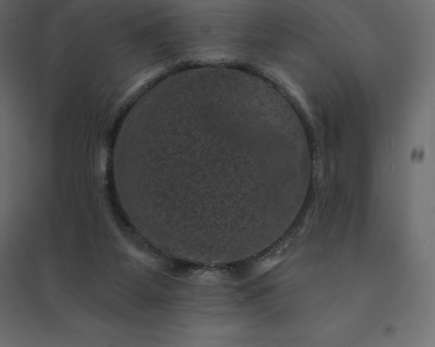 X0000094440115200711211505