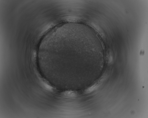 X0000094440117200711211504