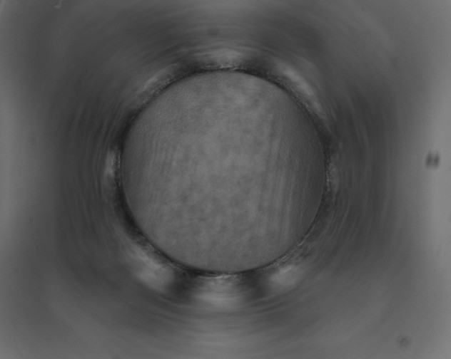 X0000094440122200711211504