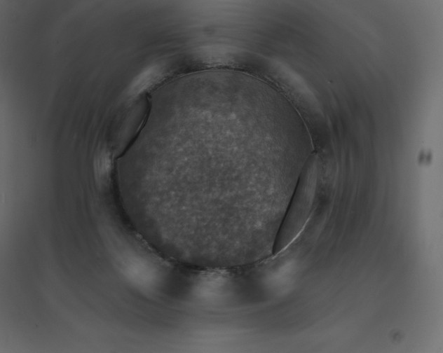 X0000094440124200711211504