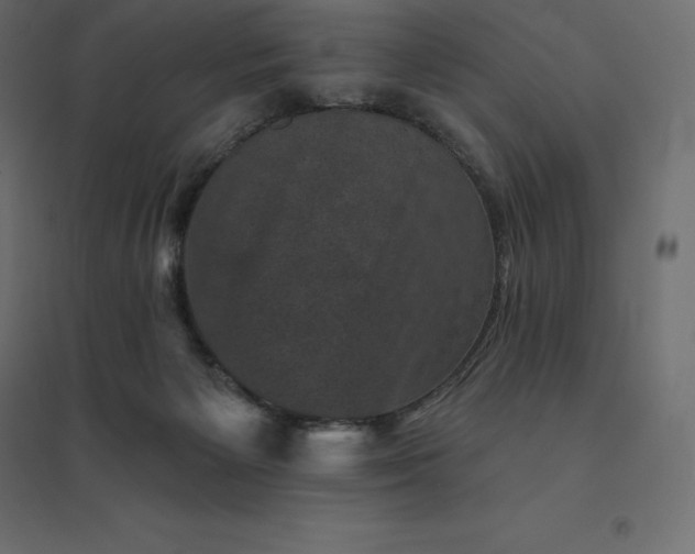 X0000094440125200711211504