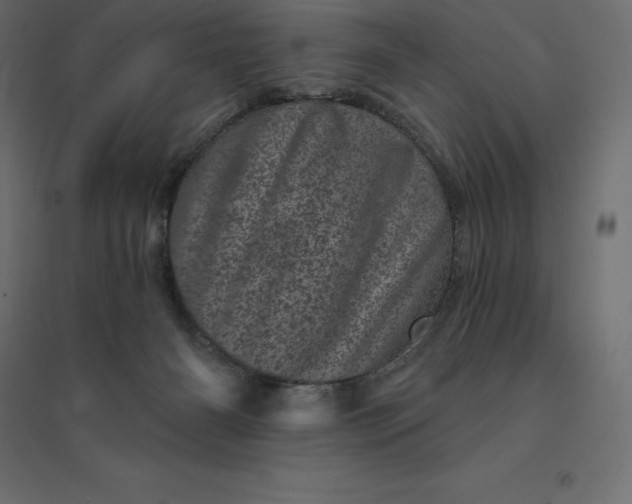 X0000094440126200711211504