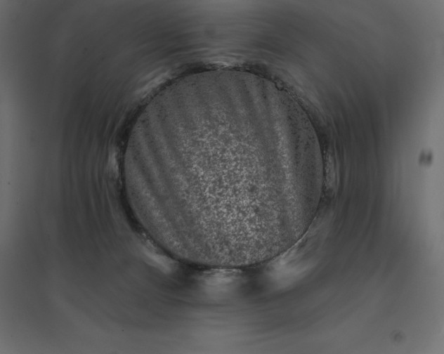 X0000094440128200711211504