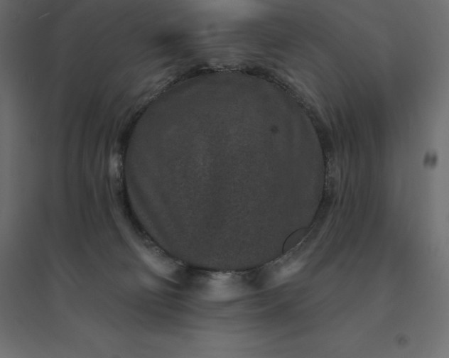 X0000094440130200711211504