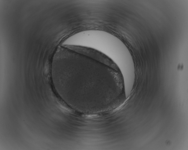 X0000094440132200711211504