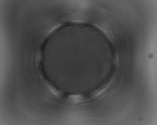 X0000094440133200711211504