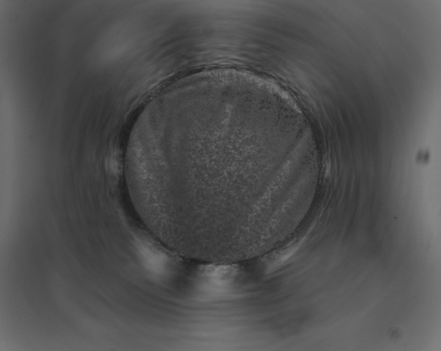 X0000094440135200711211504