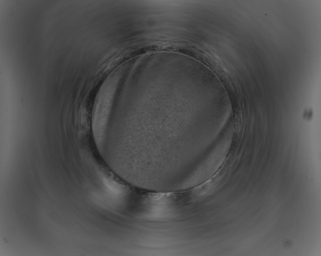 X0000094440136200711211504