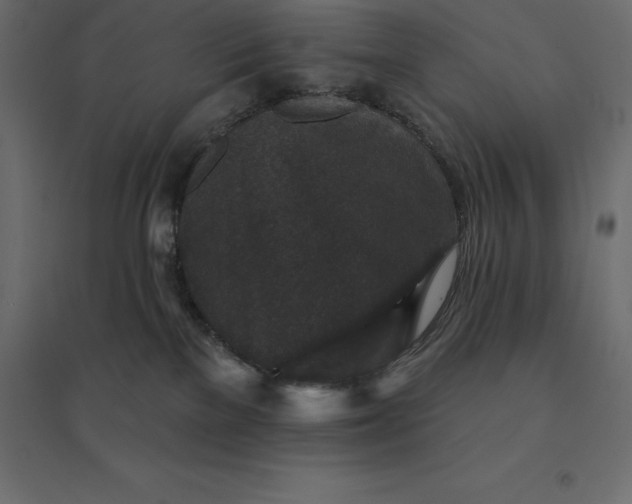 X0000094440137200711211504