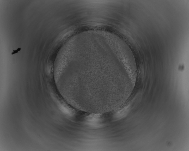 X0000094440138200711211504