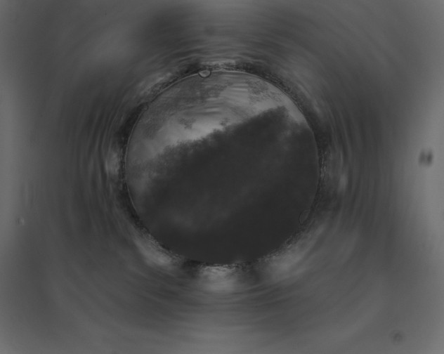 X0000094440139200711211504