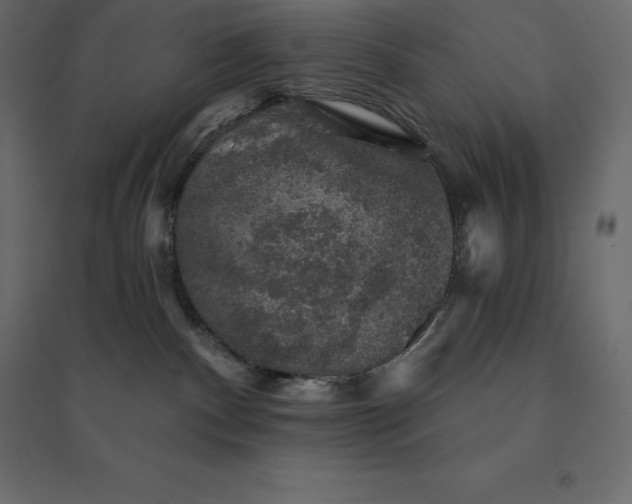 X0000094440140200711211504