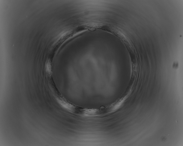 X0000094440143200711211504