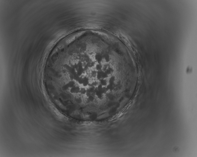 X0000094440145200711211503