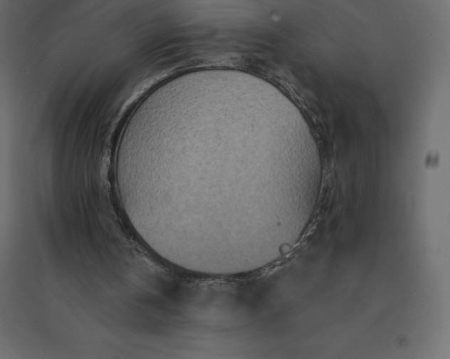 X0000094440146200711211503