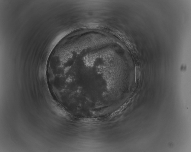 X0000094440147200711211503