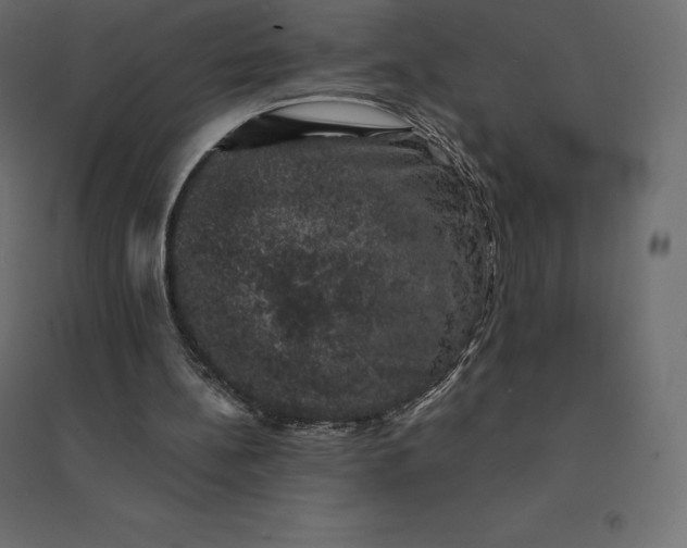 X0000094440148200711211503