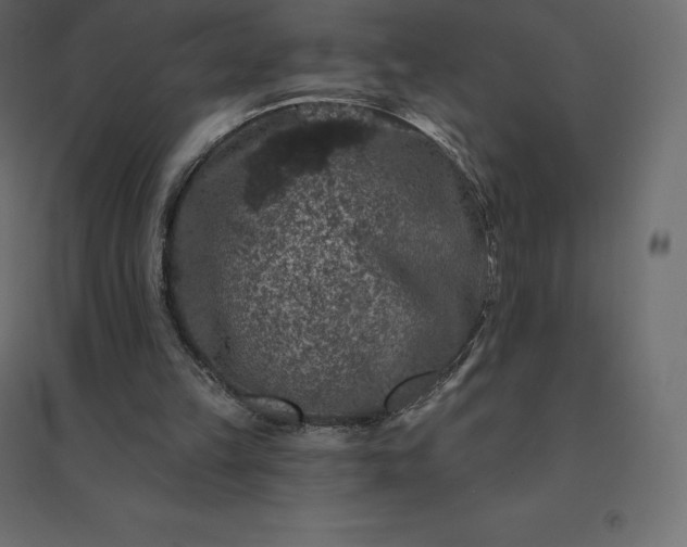 X0000094440149200711211503