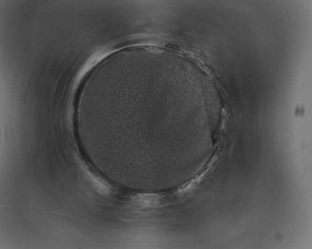 X0000094440150200711211504