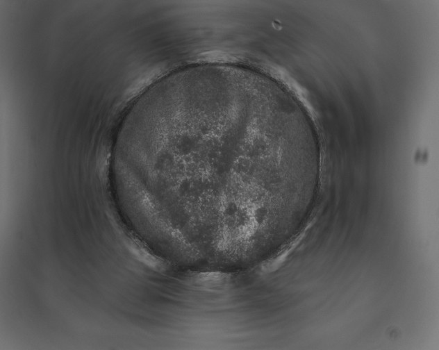 X0000094440153200711211504