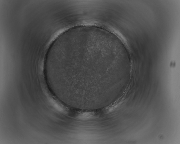 X0000094440155200711211504