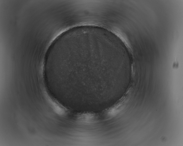 X0000094440156200711211504