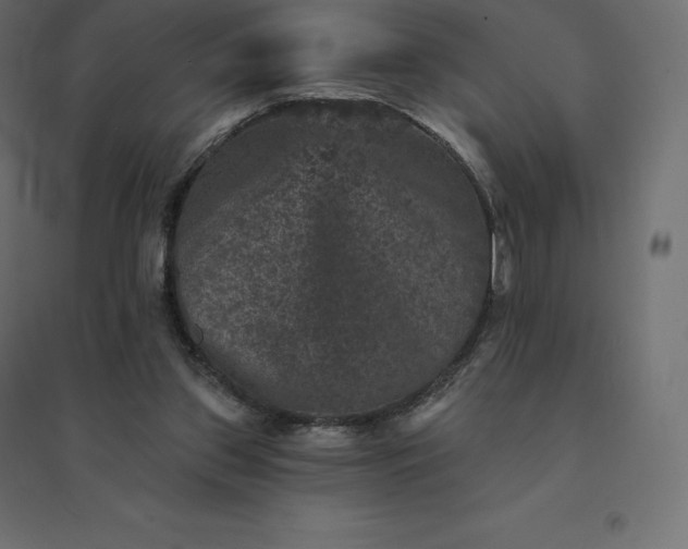 X0000094440157200711211504