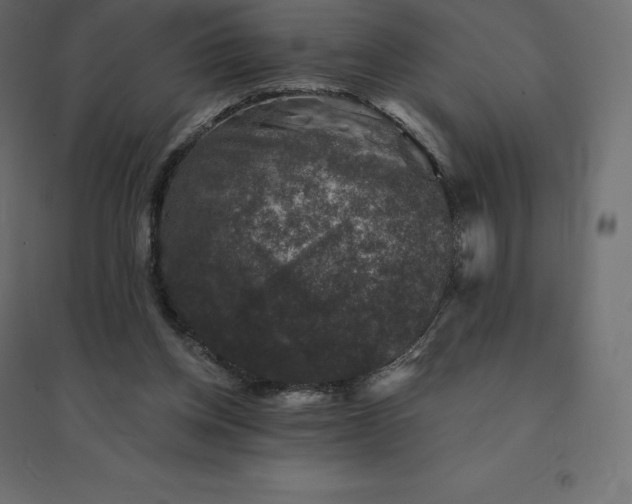 X0000094440158200711211504