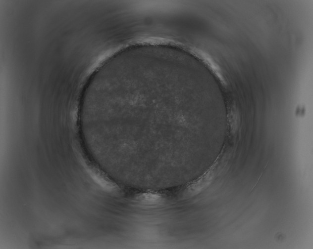 X0000094440159200711211504