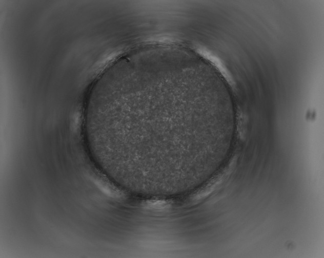 X0000094440161200711211504