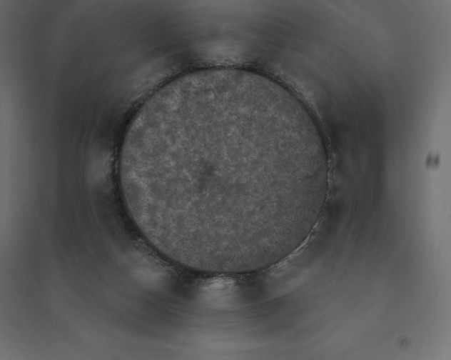 X0000094440162200711211504