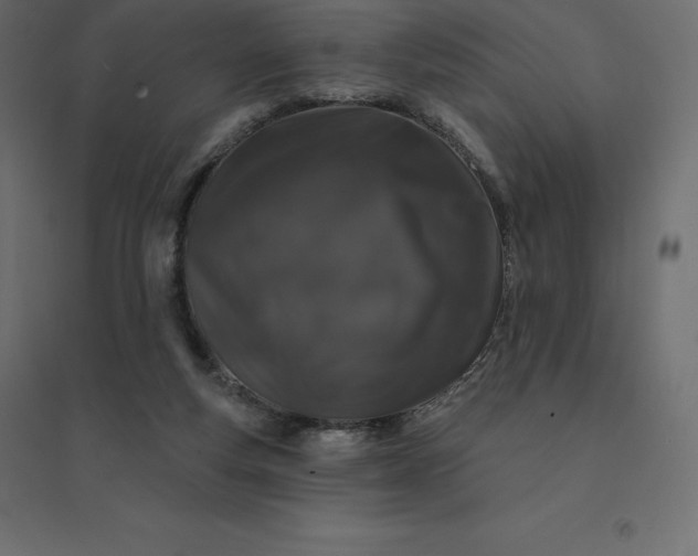 X0000094440163200711211504