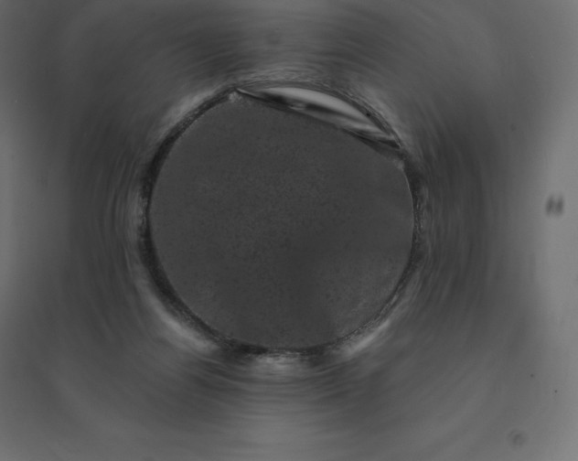 X0000094440164200711211504