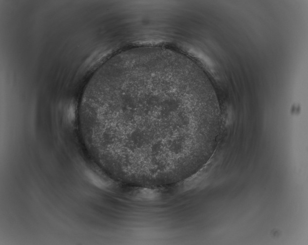 X0000094440166200711211504