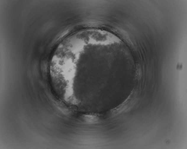 X0000094440167200711211504